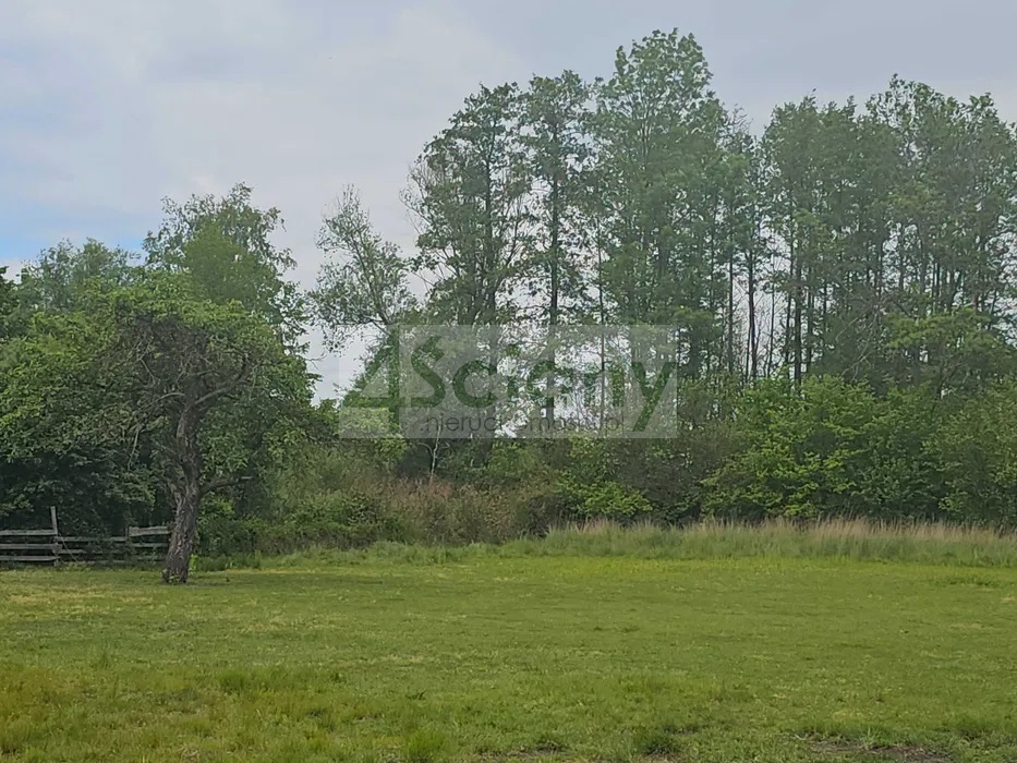 Działka budowlana 1442 m², Marynin - zdjęcie 2