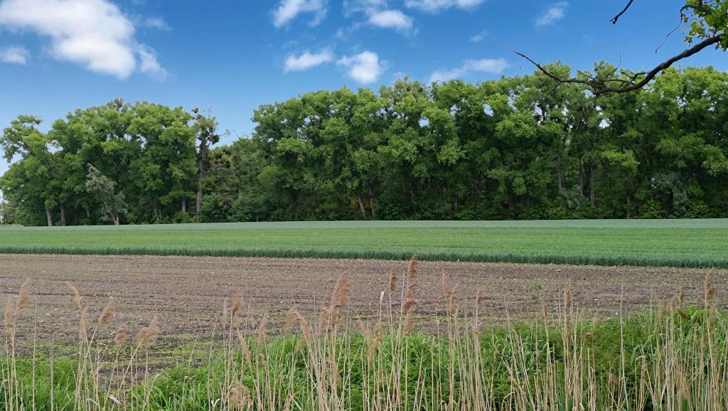 Działka budowlana 1,00 ha, Wojkowice - zdjęcie 6