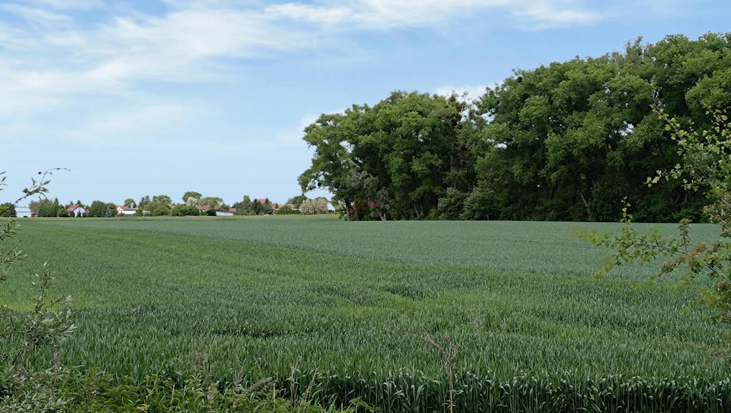 Działka budowlana 1,00 ha, Wojkowice - zdjęcie 10