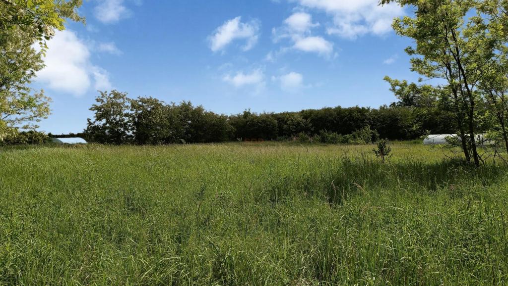Działka budowlana 1,04 ha, Sobocisko - zdjęcie 2
