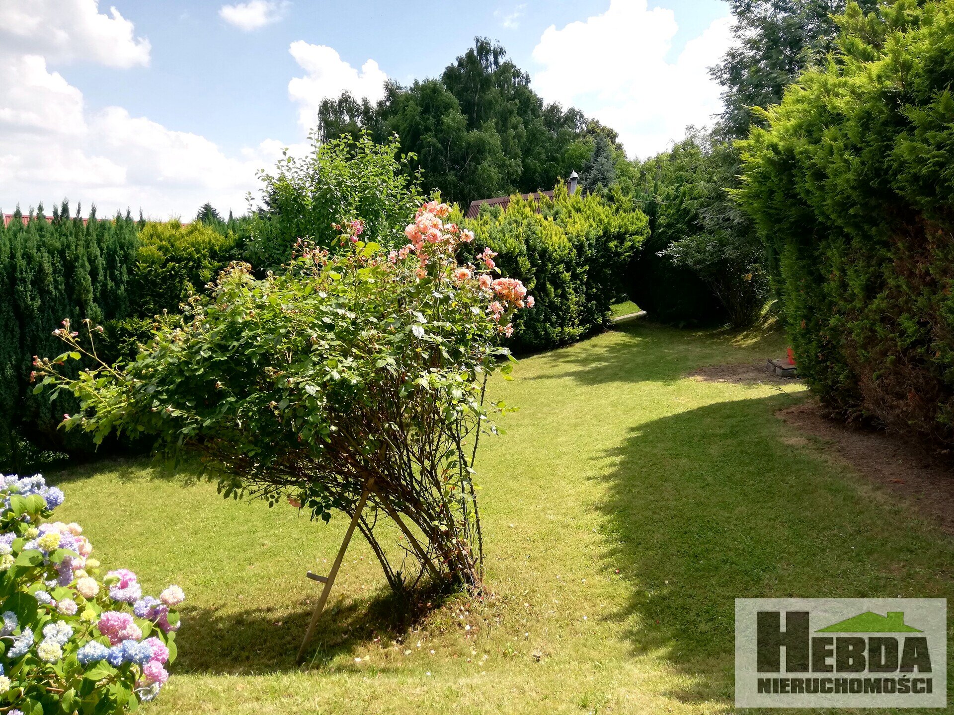 Balice pod Krakowem , domek rekreacyjny w malowniczych ogródkach działkowych - zdjęcie 4