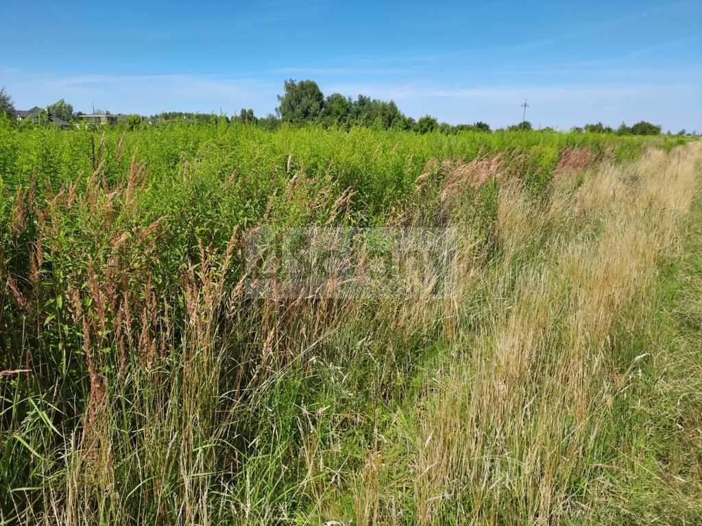 Działka budowlana 1497 m², Michałowice-Wieś - zdjęcie 1