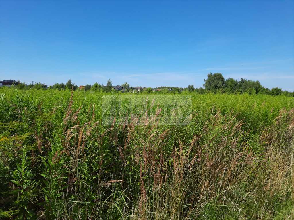 Działka budowlana 1497 m², Michałowice-Wieś - zdjęcie 2