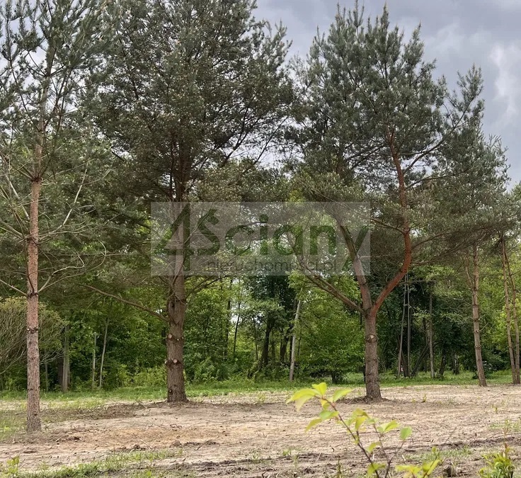 Działka budowlana 3155 m², Marynin - zdjęcie 4