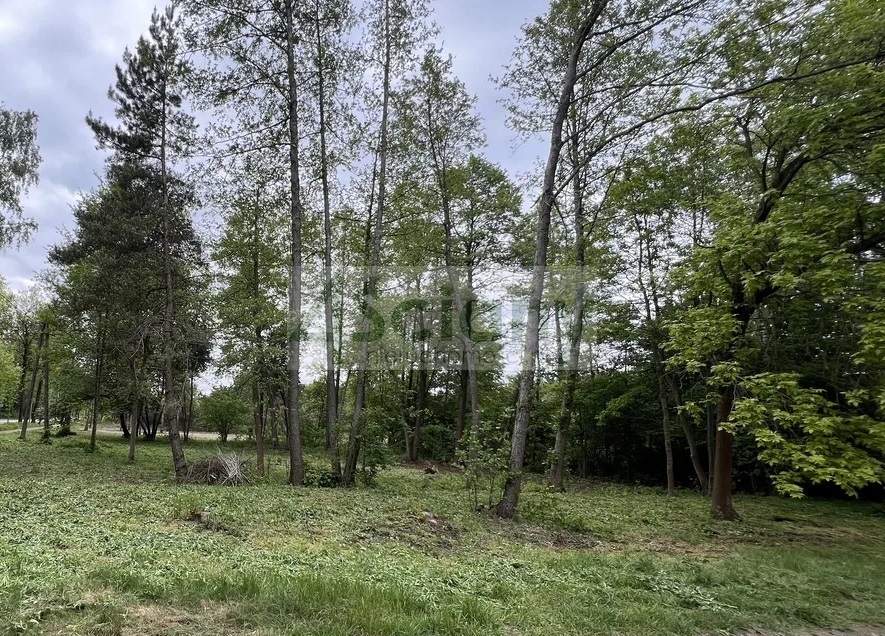 Działka budowlana 3155 m², Marynin - zdjęcie 7