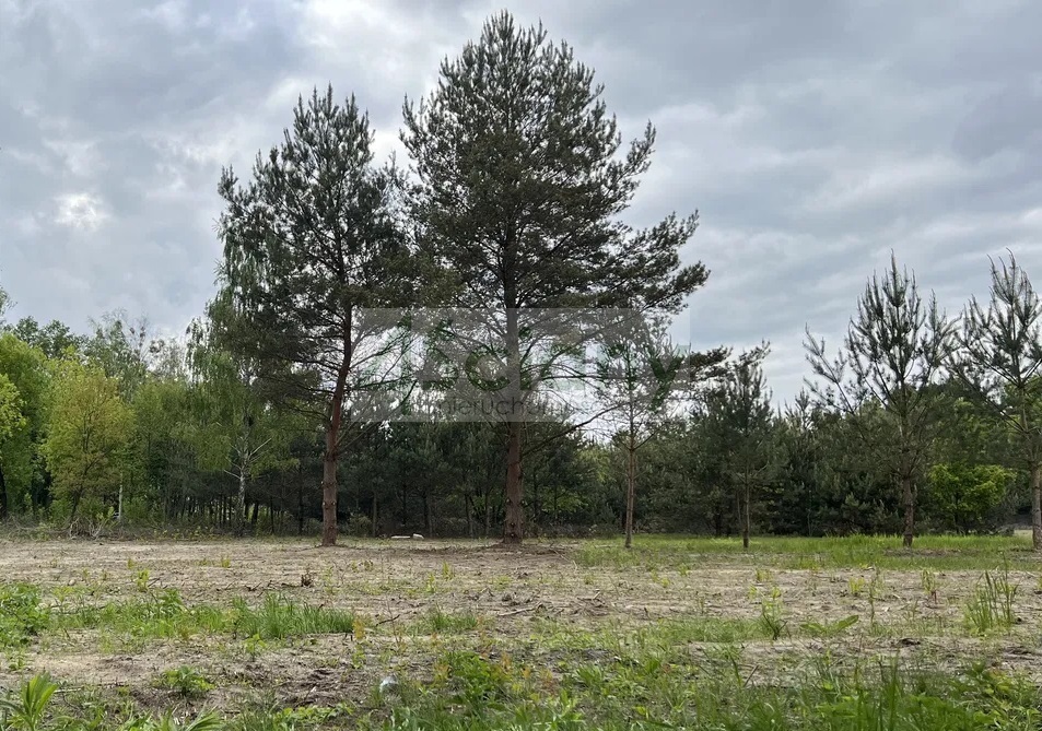 Działka budowlana 3155 m², Marynin - zdjęcie 1