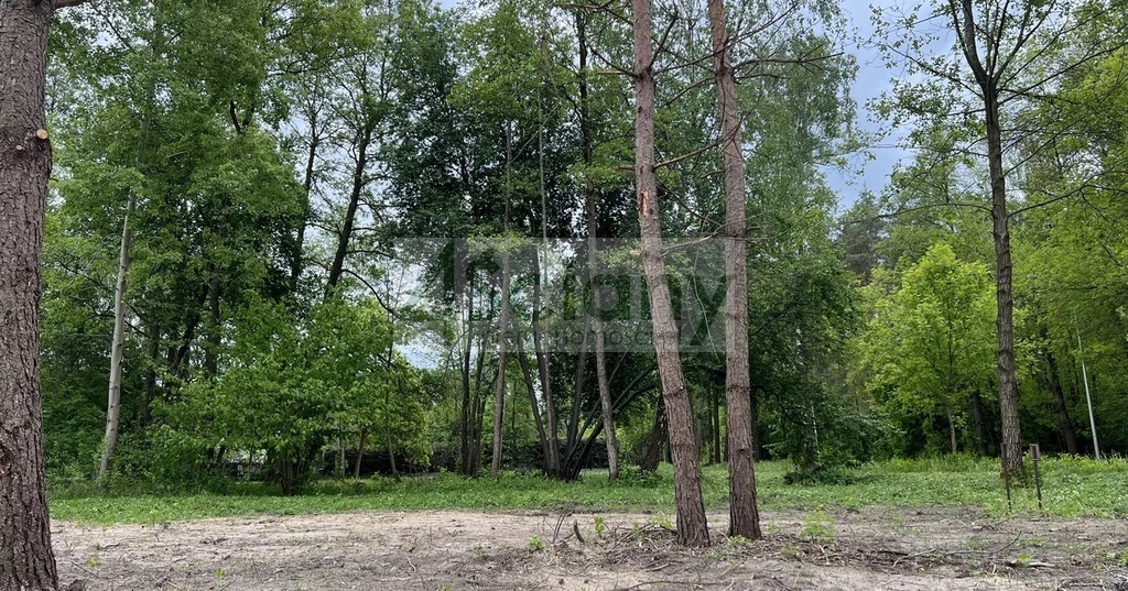 Działka budowlana 3155 m², Marynin - zdjęcie 5