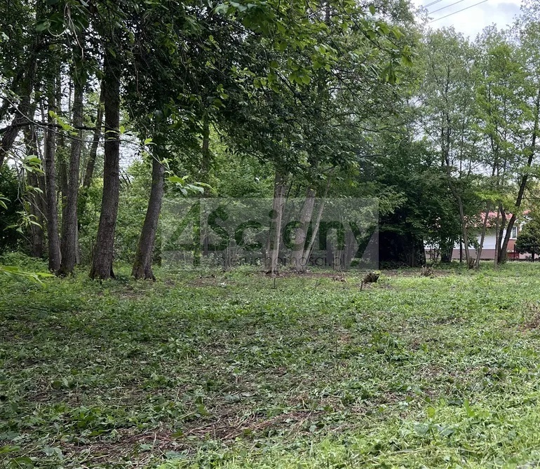 Działka budowlana 3155 m², Marynin - zdjęcie 2