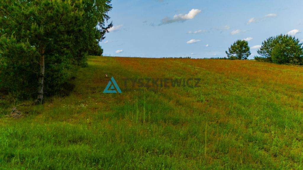 Zamieszkaj w Wojsku - zdjęcie 3