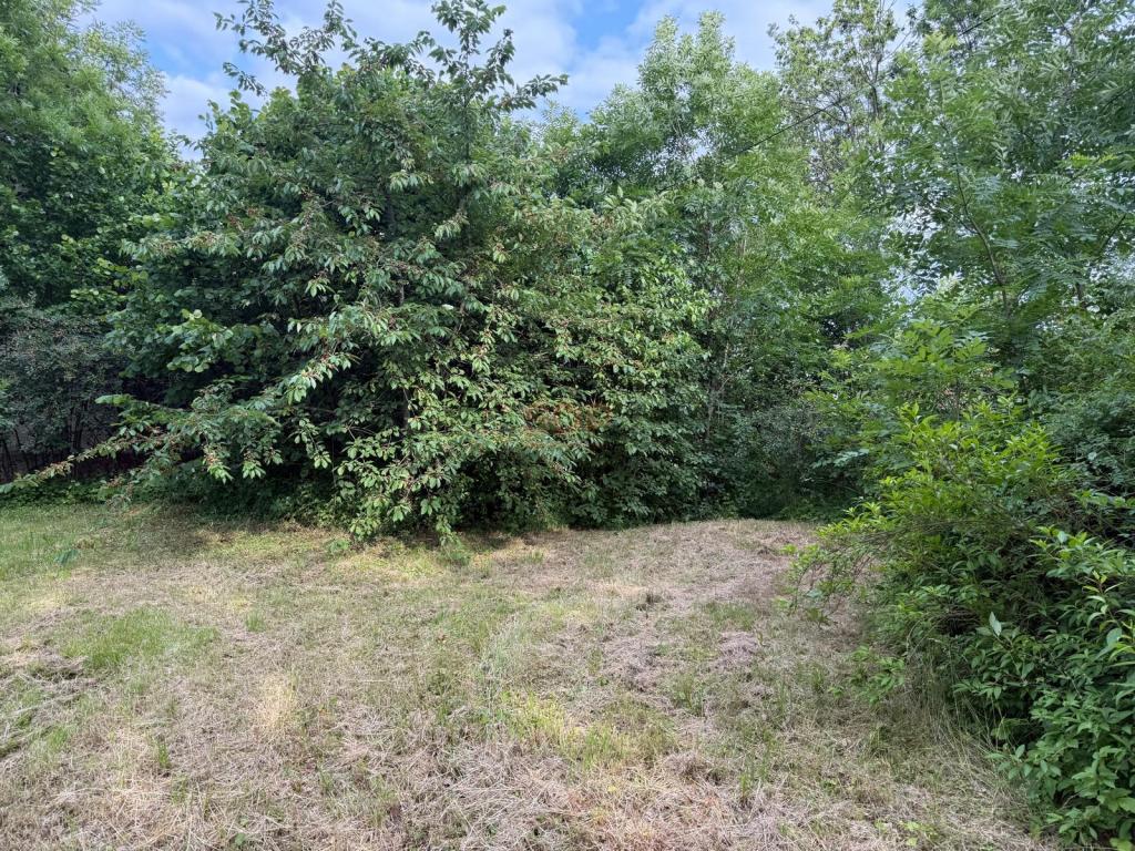 Działka inwestycyjna 3000 m², Domasław - zdjęcie 9