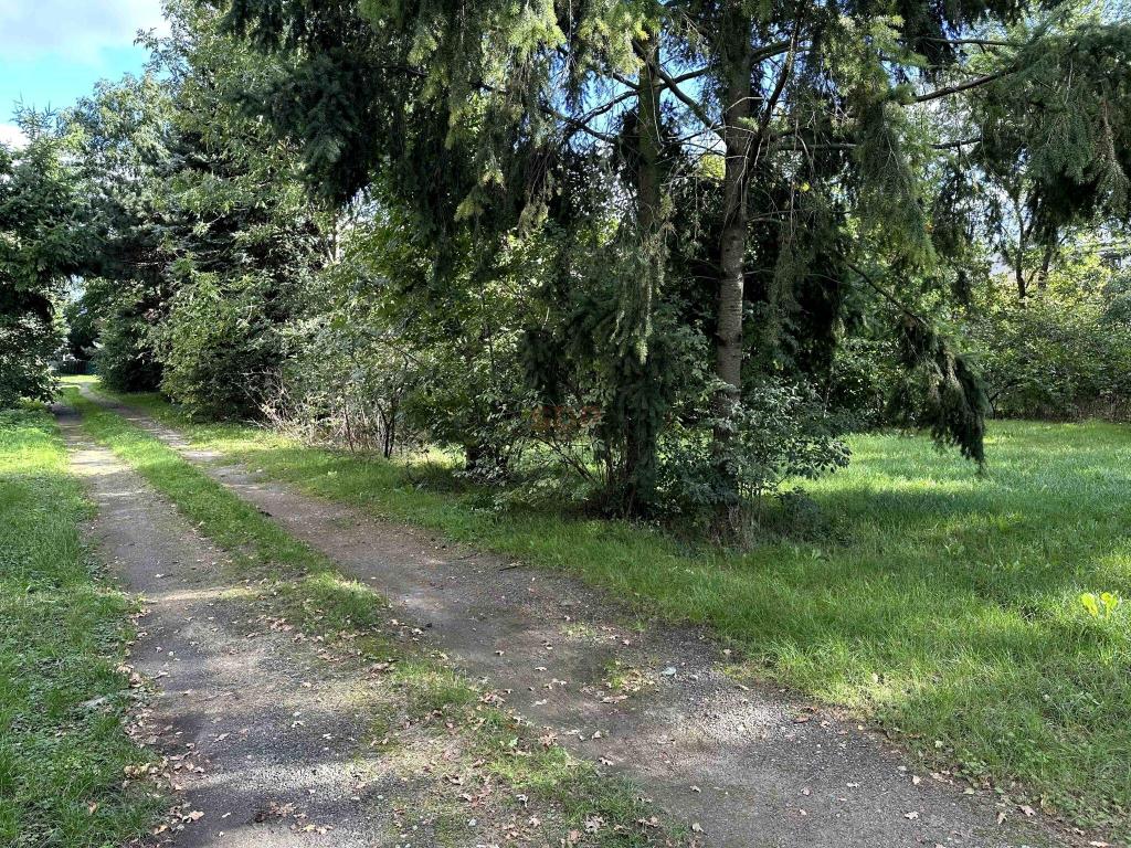 Działka inwestycyjna 3000 m², Domasław - zdjęcie 7