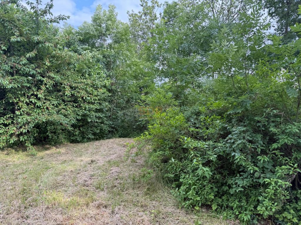 Działka inwestycyjna 3000 m², Domasław - zdjęcie 10