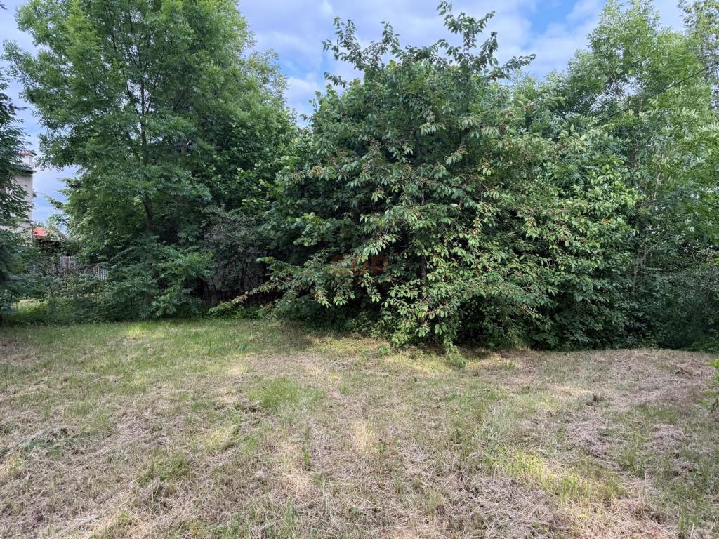 Działka inwestycyjna 3000 m², Domasław - zdjęcie 13