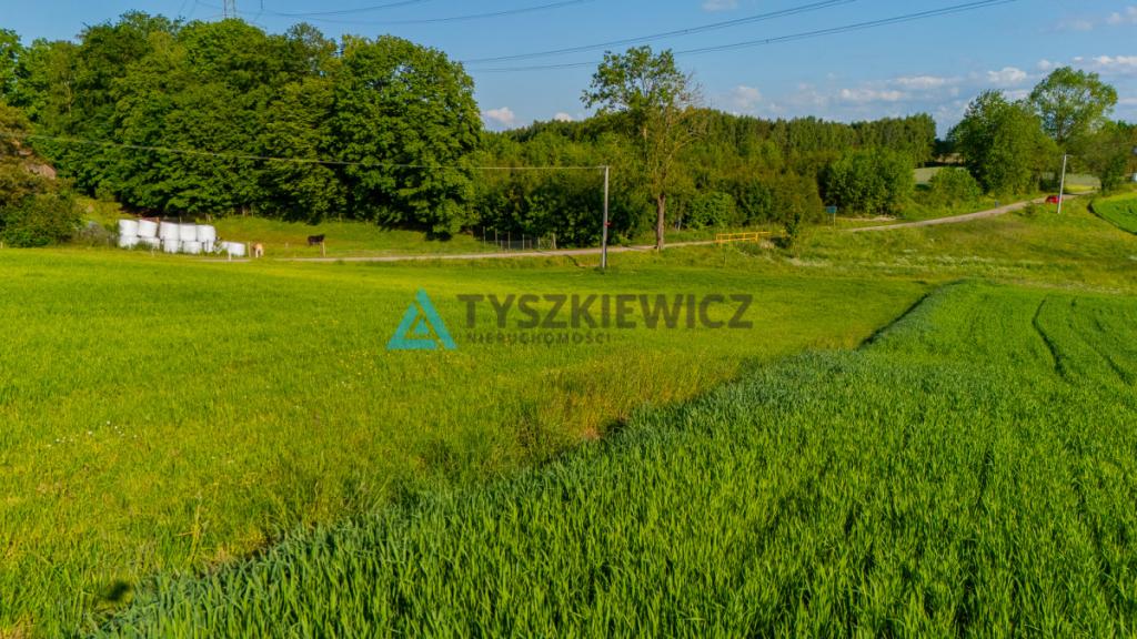 Działka budowlana w Dąbrówce - zdjęcie 14
