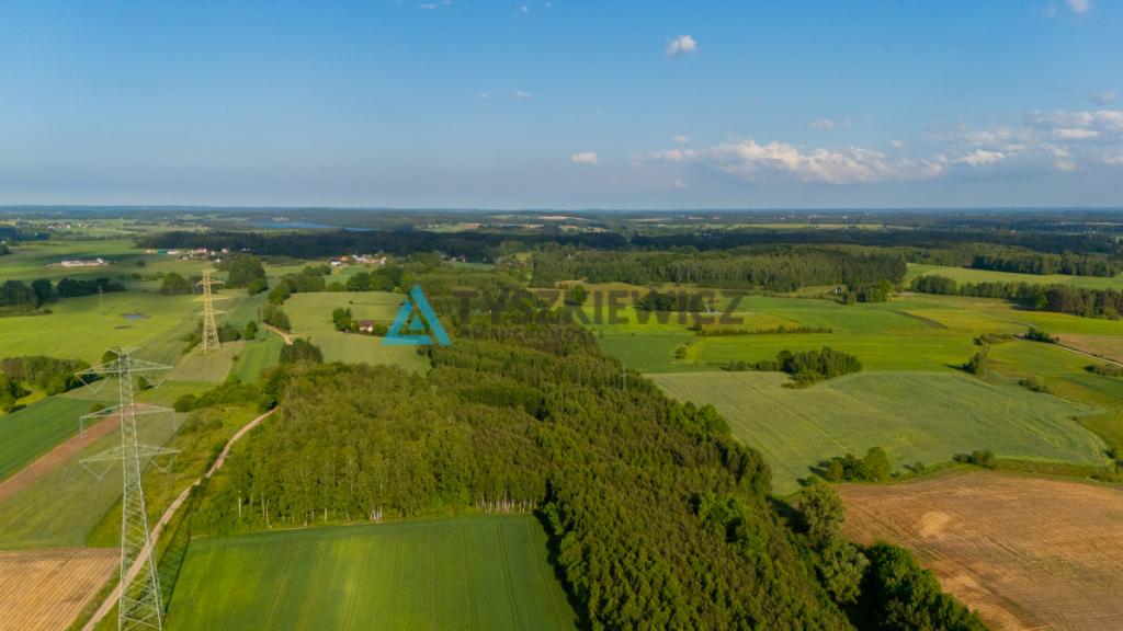 Działka budowlana w Dąbrówce - zdjęcie 5