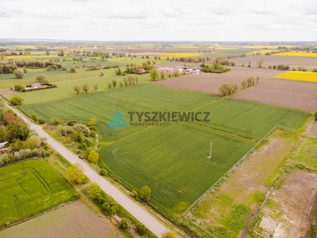 Blisko Nowego Dworu Gdańskiego i S7, ok. 6,4 ha - zdjęcie 5