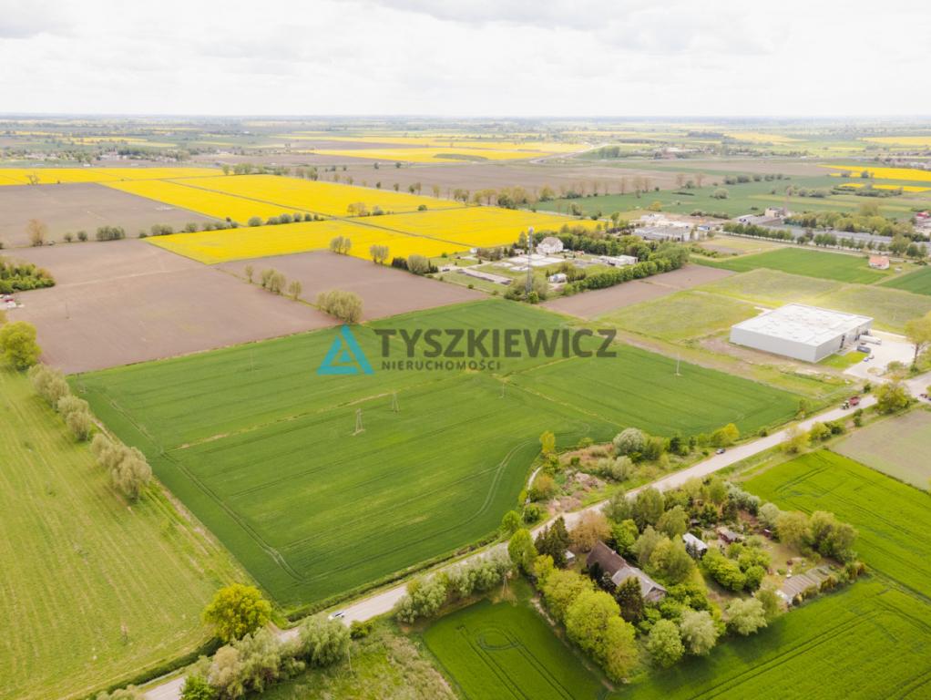Blisko Nowego Dworu Gdańskiego i S7, ok. 6,4 ha - zdjęcie 9