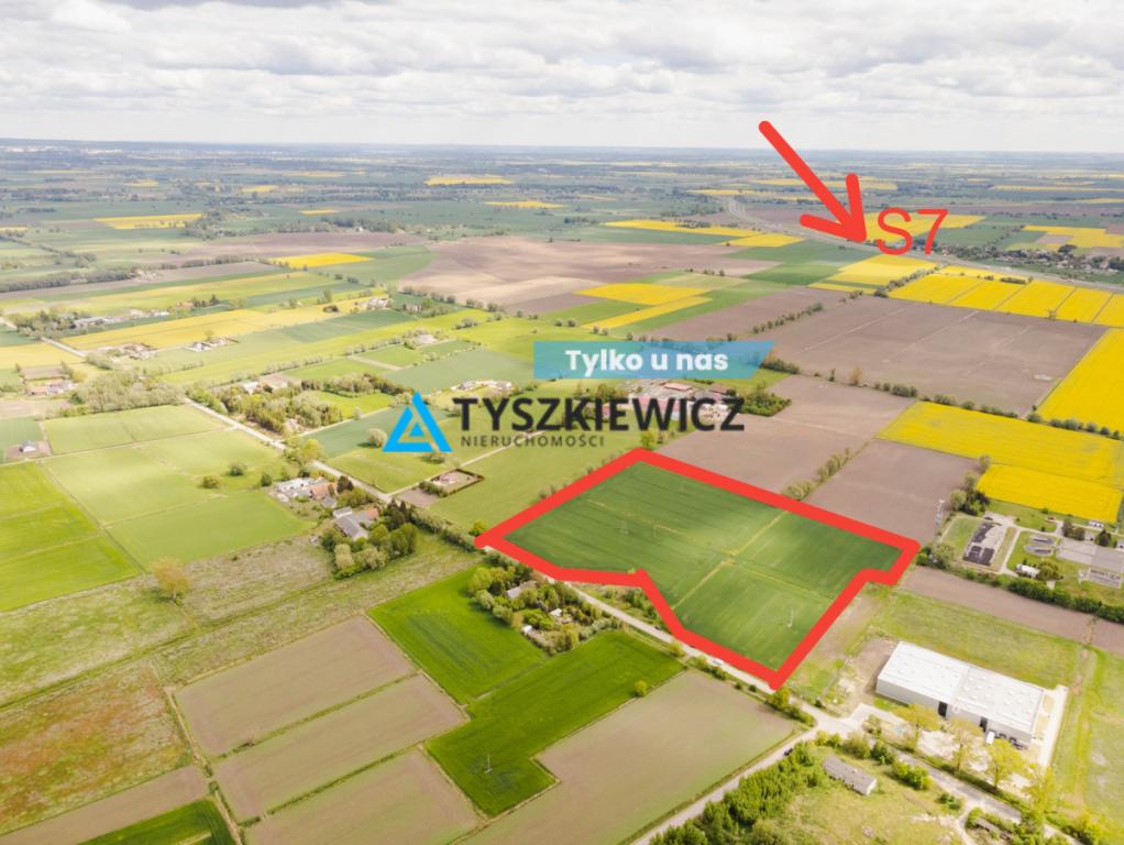 Blisko Nowego Dworu Gdańskiego i S7, ok. 6,4 ha - zdjęcie 1