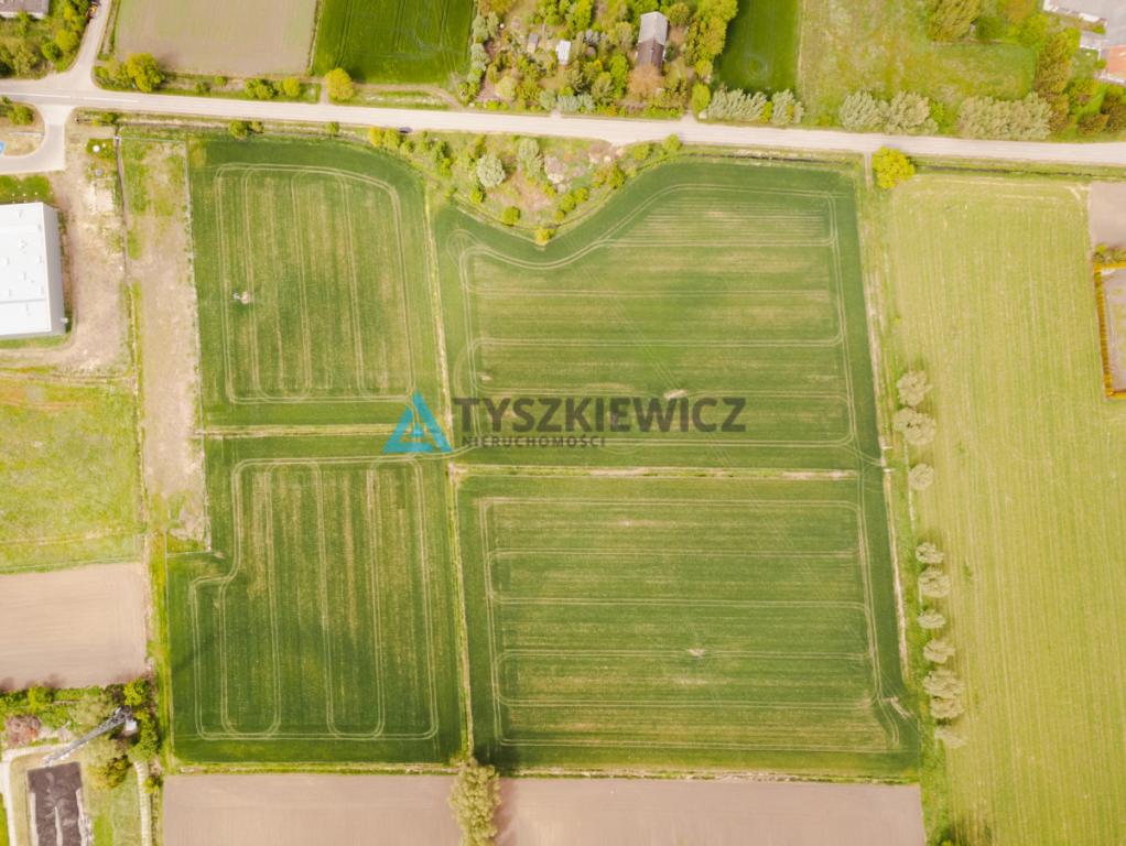 Blisko Nowego Dworu Gdańskiego i S7, ok. 6,4 ha - zdjęcie 4