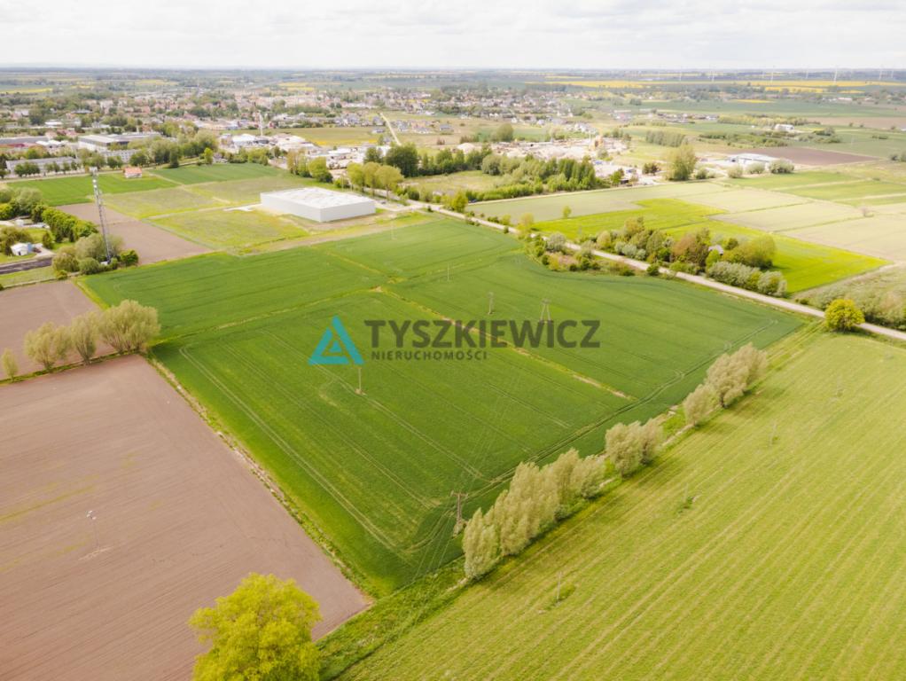 Blisko Nowego Dworu Gdańskiego i S7, ok. 6,4 ha - zdjęcie 3