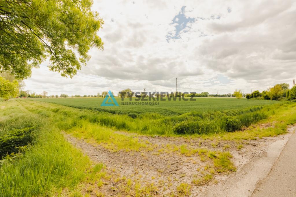 Blisko Nowego Dworu Gdańskiego i S7, ok. 6,4 ha - zdjęcie 17