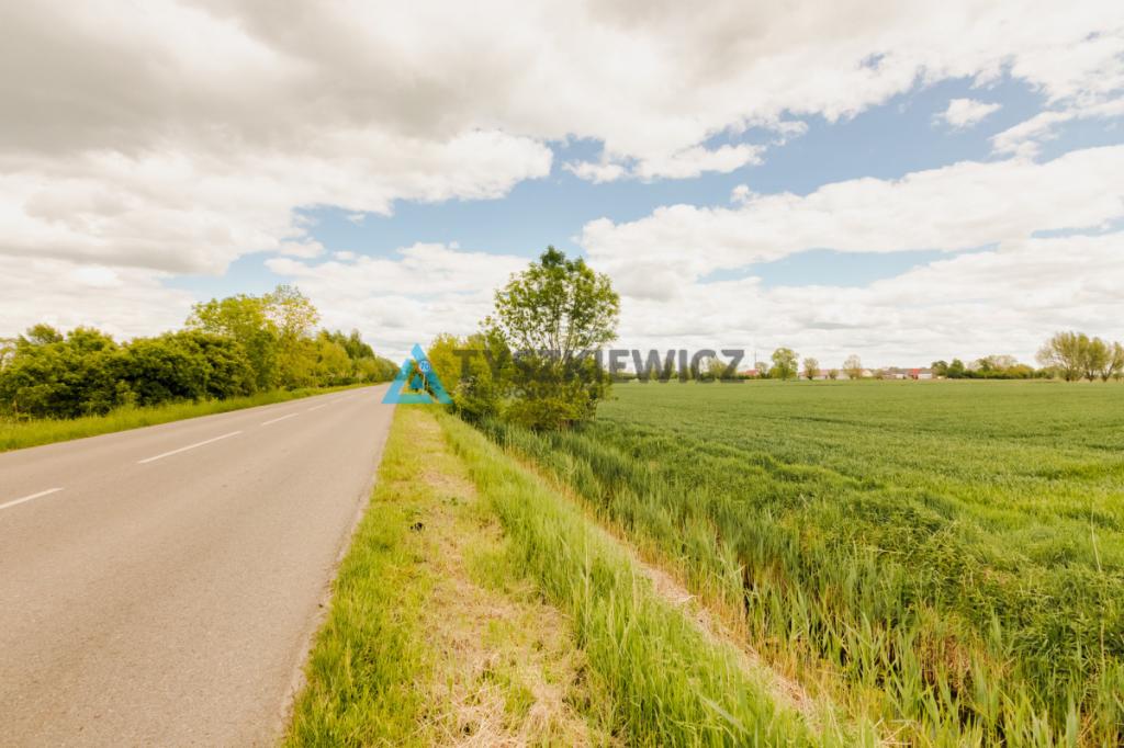 Blisko Nowego Dworu Gdańskiego i S7, ok. 6,4 ha - zdjęcie 13