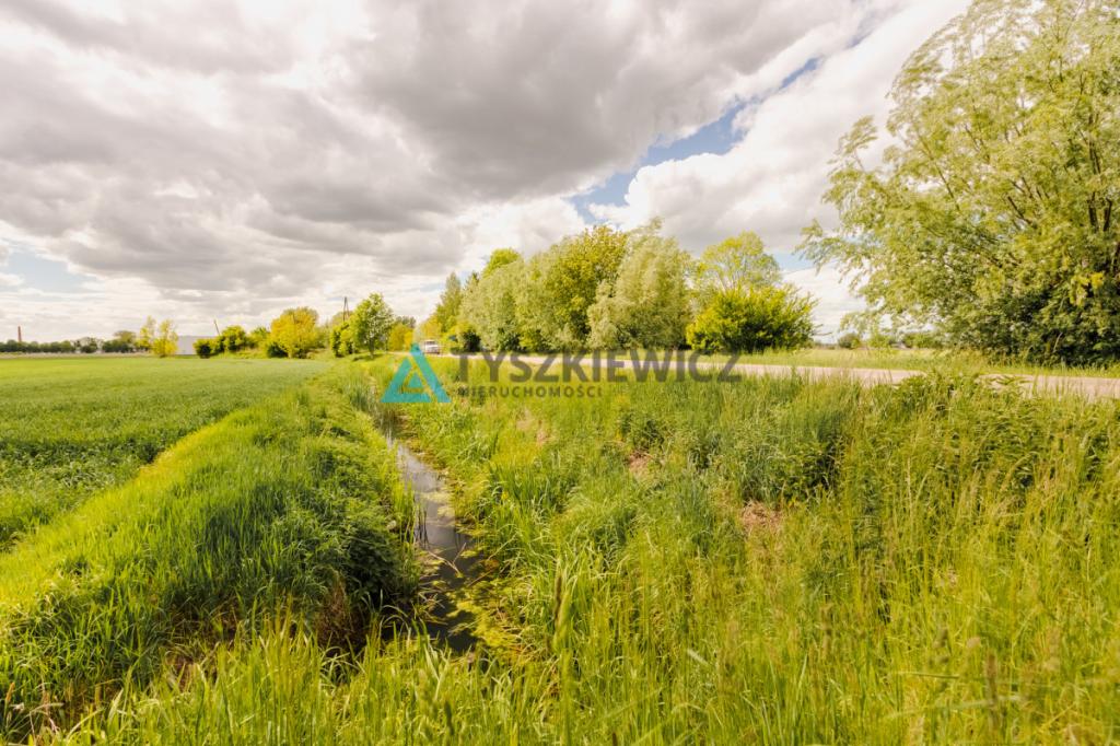 Blisko Nowego Dworu Gdańskiego i S7, ok. 6,4 ha - zdjęcie 18