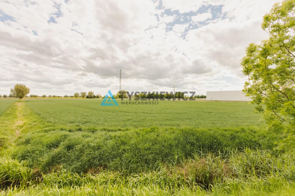 Blisko Nowego Dworu Gdańskiego i S7, ok. 6,4 ha - zdjęcie 21