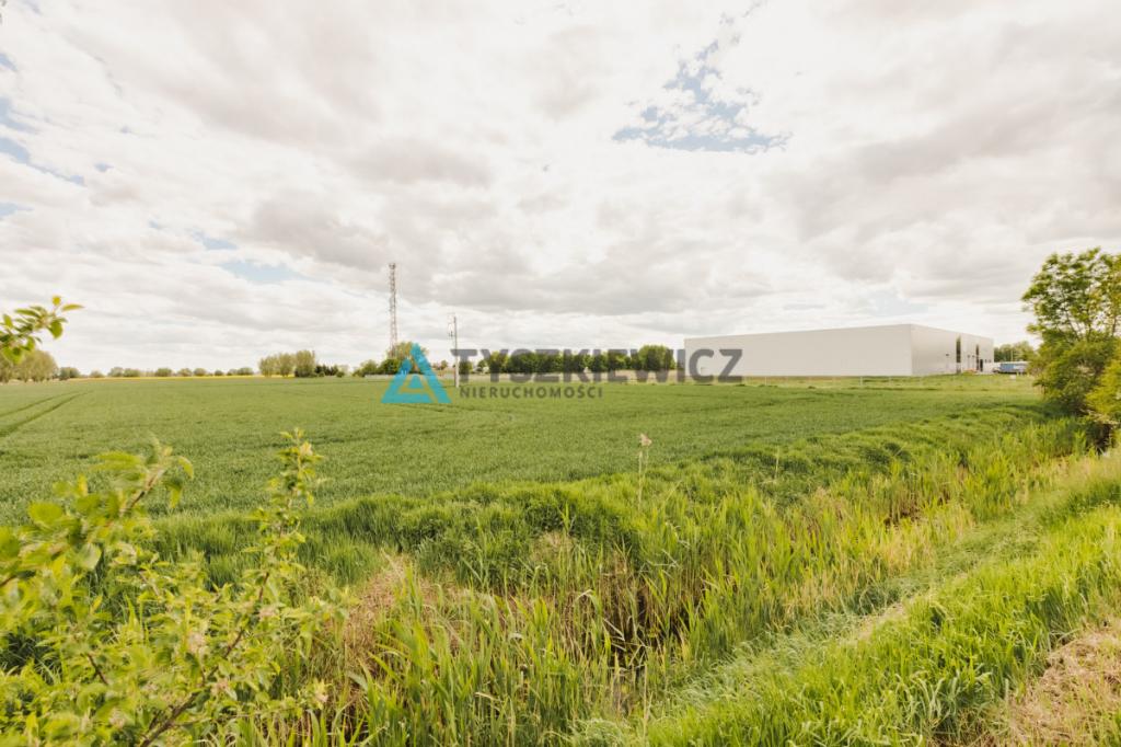 Blisko Nowego Dworu Gdańskiego i S7, ok. 6,4 ha - zdjęcie 14