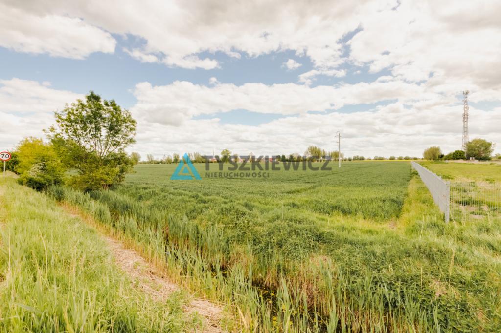 Blisko Nowego Dworu Gdańskiego i S7, ok. 6,4 ha - zdjęcie 11