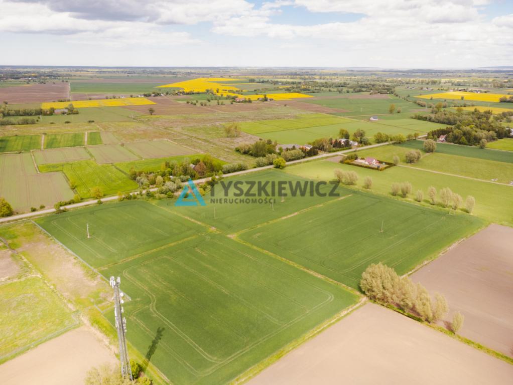 Blisko Nowego Dworu Gdańskiego i S7, ok. 6,4 ha - zdjęcie 6