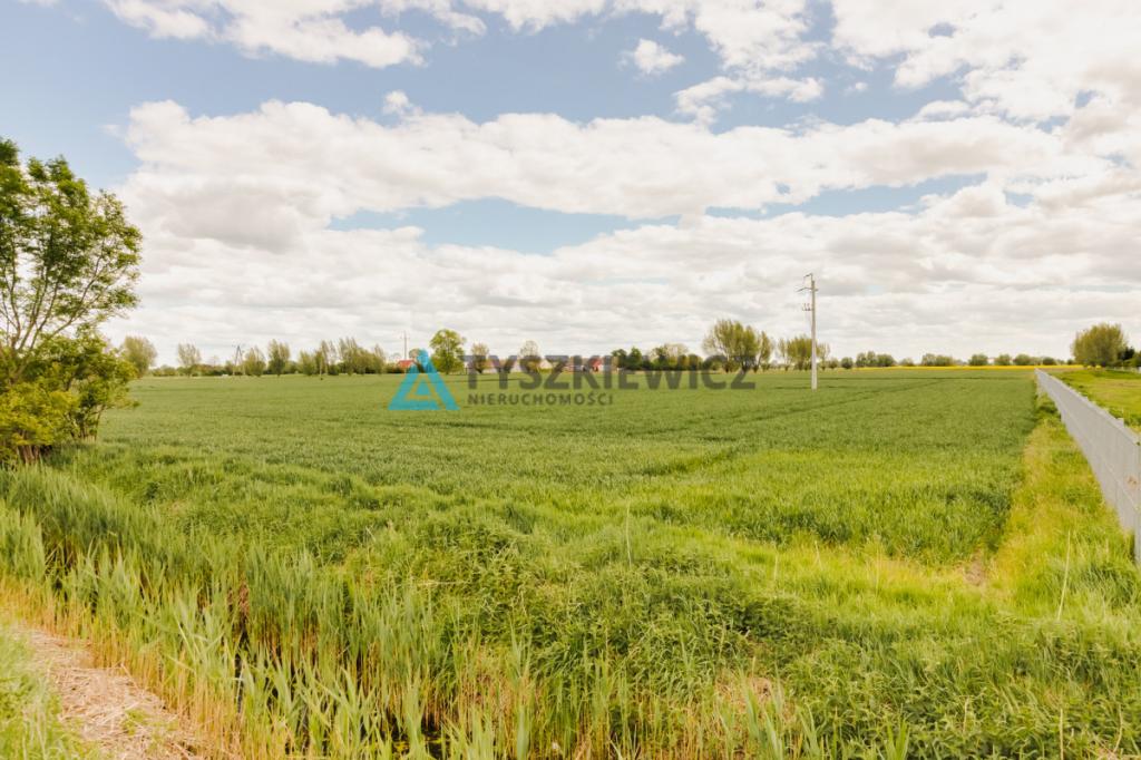 Blisko Nowego Dworu Gdańskiego i S7, ok. 6,4 ha - zdjęcie 12