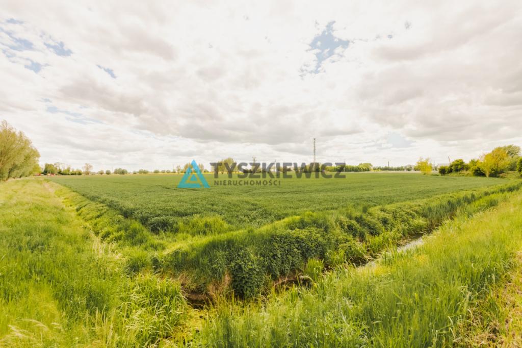Blisko Nowego Dworu Gdańskiego i S7, ok. 6,4 ha - zdjęcie 16