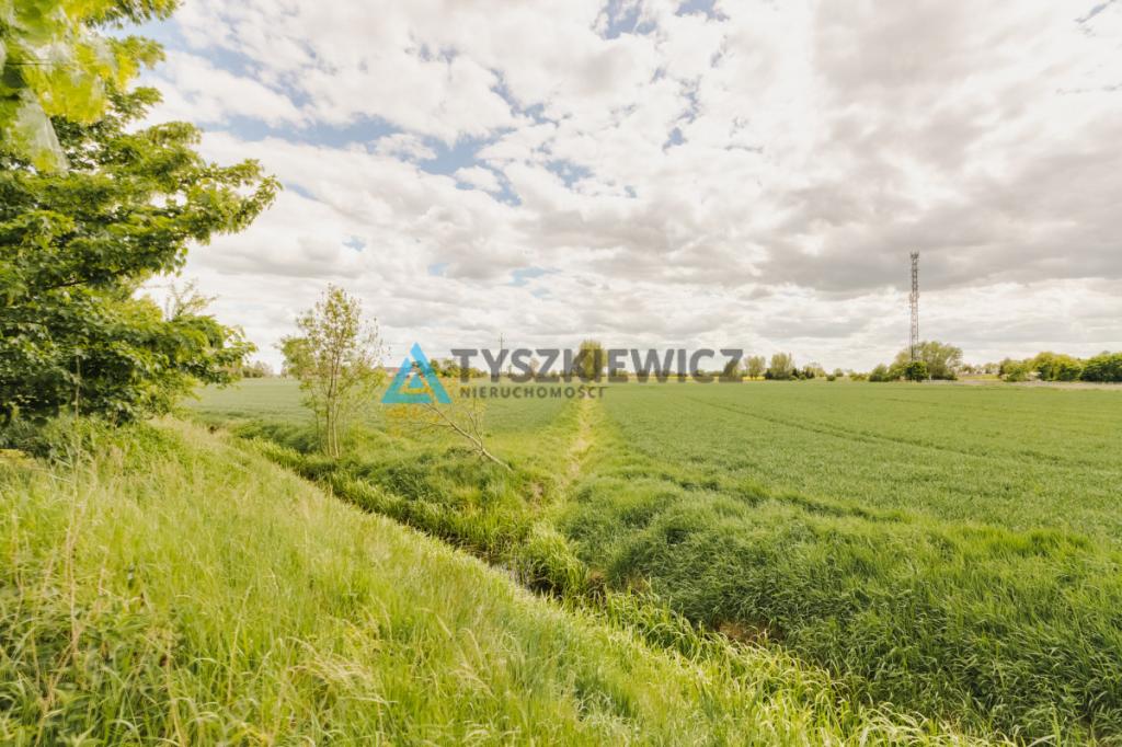 Blisko Nowego Dworu Gdańskiego i S7, ok. 6,4 ha - zdjęcie 20