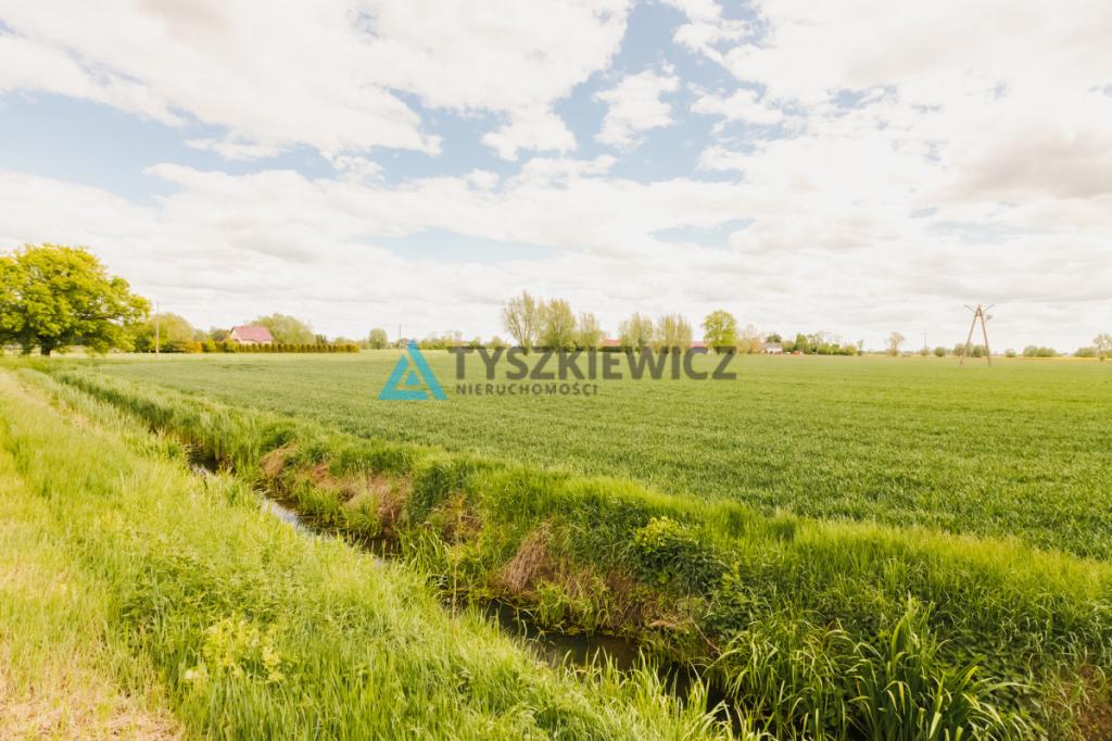 Blisko Nowego Dworu Gdańskiego i S7, ok. 6,4 ha - zdjęcie 15