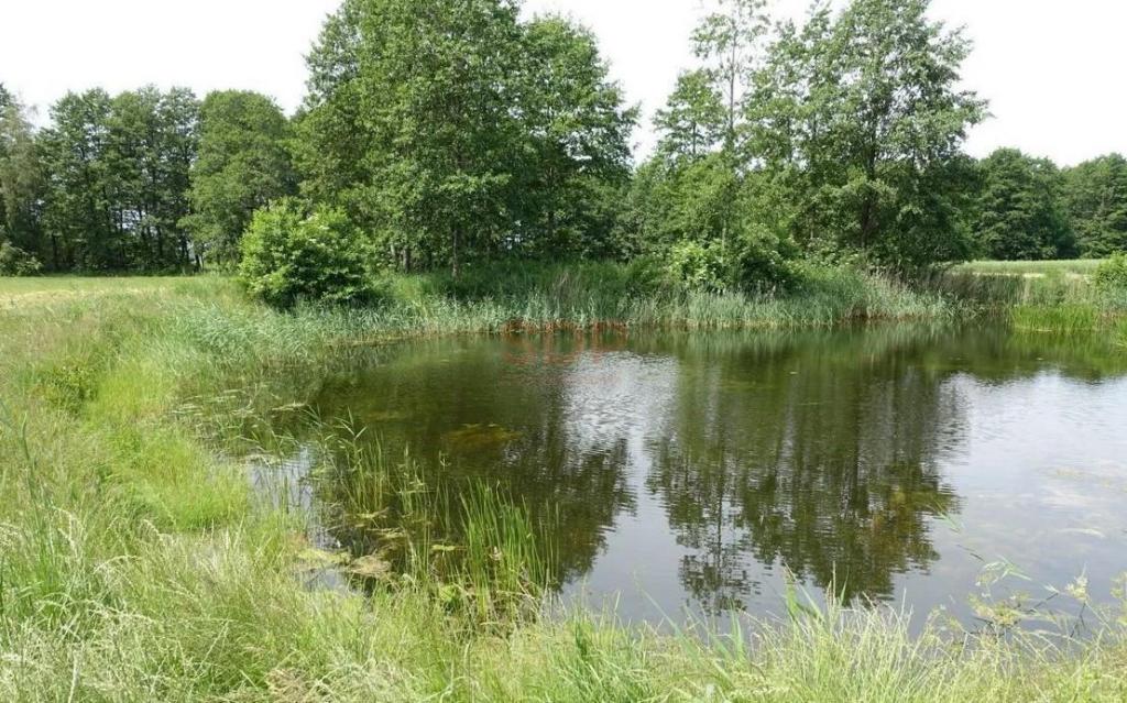 Działka budowlana 1,42 ha, Kal - zdjęcie 2