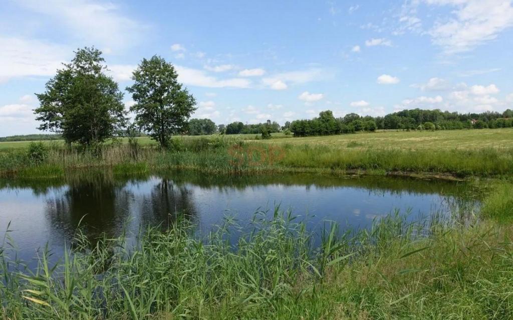 Działka budowlana 1,42 ha, Kal - zdjęcie 3