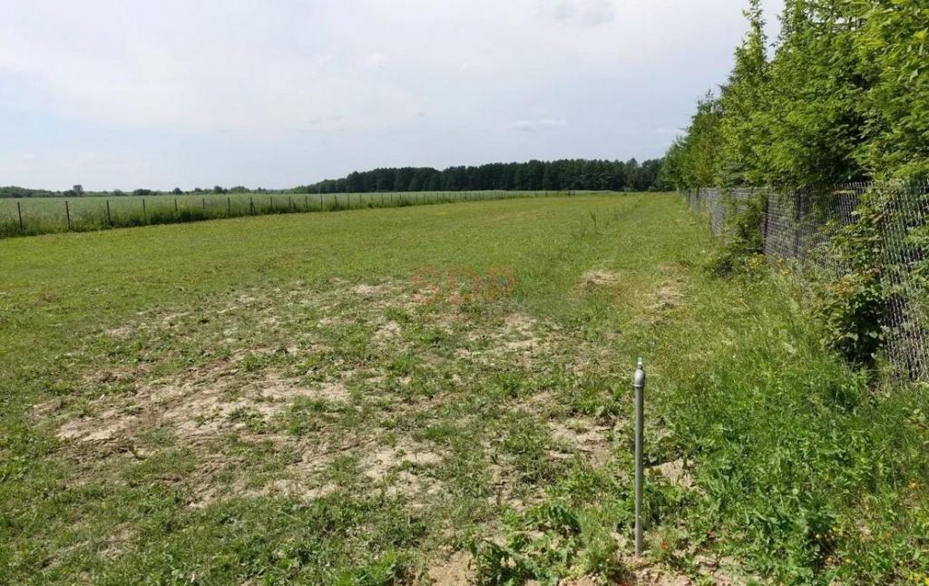 Działka budowlana 1,42 ha, Kal - zdjęcie 10