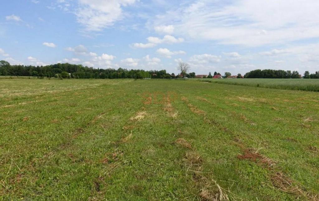 Działka budowlana 1,42 ha, Kal - zdjęcie 9