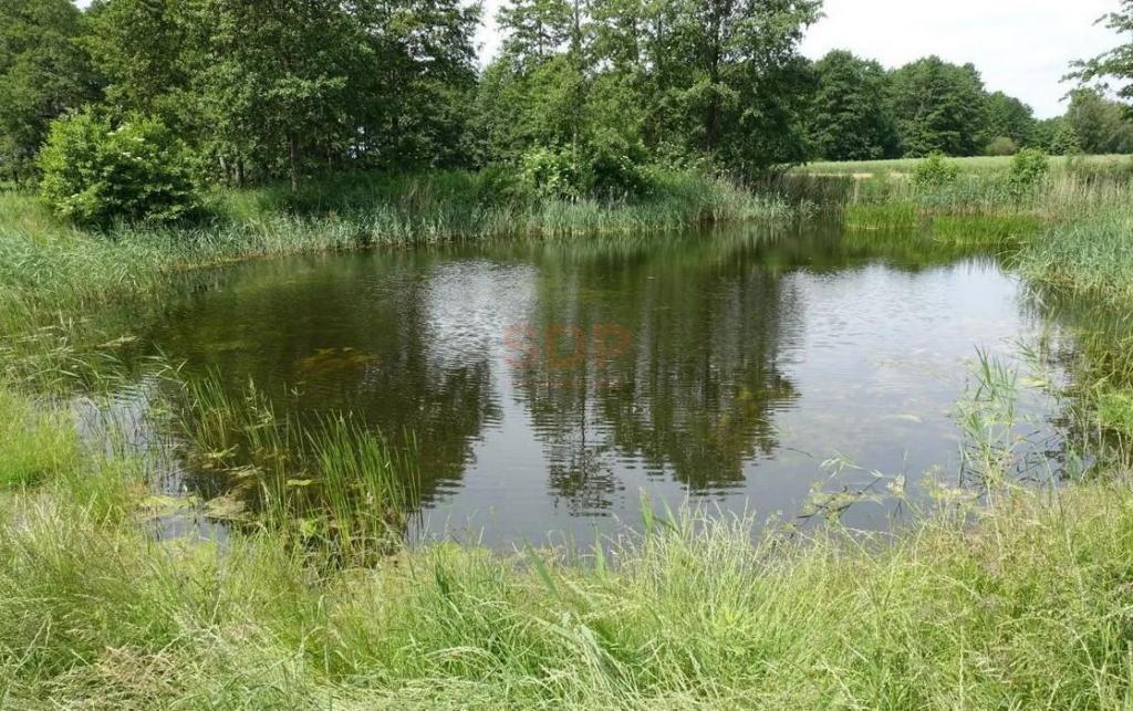 Działka budowlana 1,42 ha, Kal - zdjęcie 4