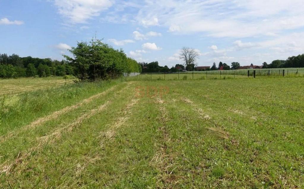 Działka budowlana 1,42 ha, Kal - zdjęcie 8