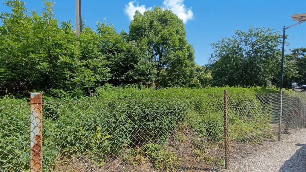 Działka budowlana 1001 m², Domasław - zdjęcie 6