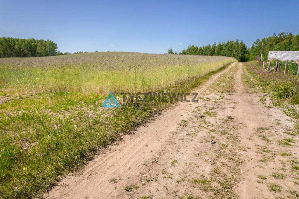 Piękna działka przy lesie Brodnica Górna - zdjęcie 13