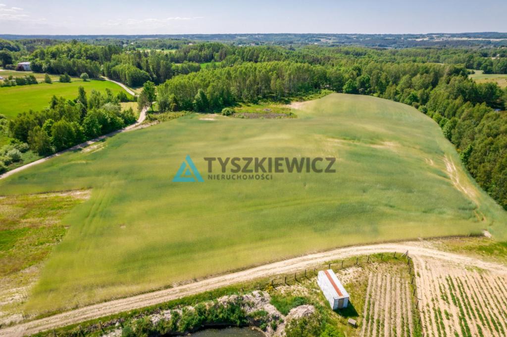 Piękna działka przy lesie Brodnica Górna - zdjęcie 7