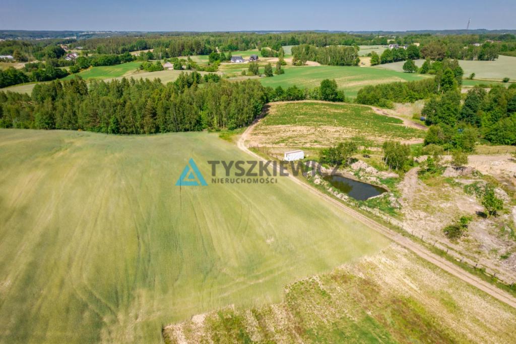 Piękna działka przy lesie Brodnica Górna - zdjęcie 6