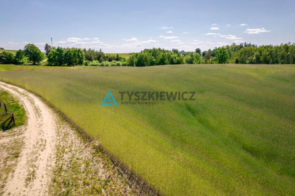 Piękna działka przy lesie Brodnica Górna - zdjęcie 5