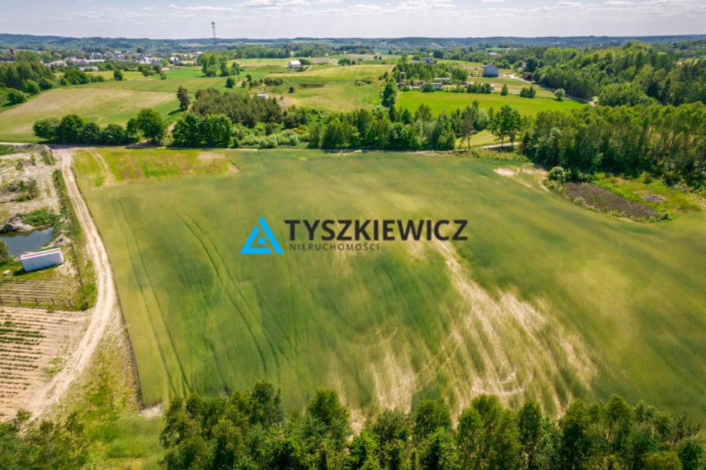 Piękna działka przy lesie Brodnica Górna - zdjęcie 1