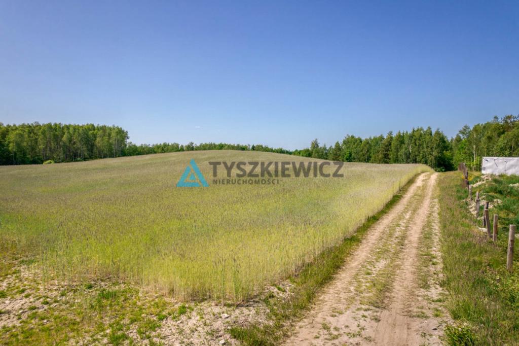 Piękna działka przy lesie Brodnica Górna - zdjęcie 11