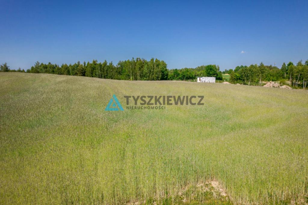 Piękna działka przy lesie Brodnica Górna - zdjęcie 12