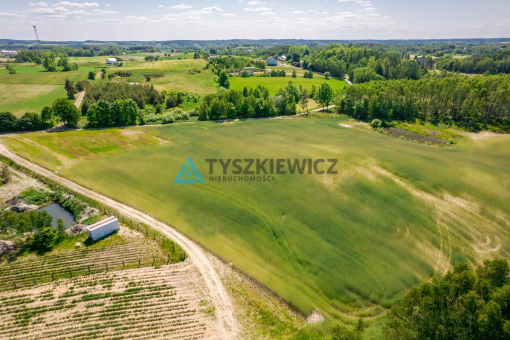 Piękna działka przy lesie Brodnica Górna - zdjęcie 8